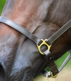 Pasco Plain Leather Head Collar -Premier Equine Store Plain Leather Head Collar brown3 b6a8d19e 4306 49f3 8965 a4c177759978