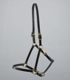 Pasco Plain Leather Head Collar -Premier Equine Store Plain Leather Head Collar brown4