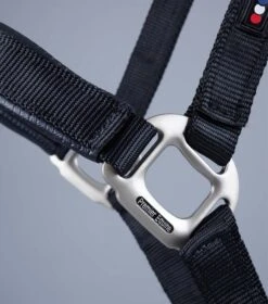 Plain Padded Horse Head Collar -Premier Equine Store Plain Padded Horse Head Collar Black 6