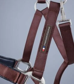 Plain Padded Horse Head Collar -Premier Equine Store Plain Padded Horse Head Collar Brown 3