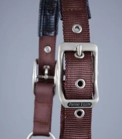 Plain Padded Horse Head Collar -Premier Equine Store Plain Padded Horse Head Collar Brown 4