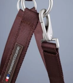 Plain Padded Horse Head Collar -Premier Equine Store Plain Padded Horse Head Collar Brown 5