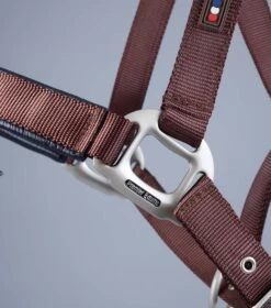 Plain Padded Horse Head Collar -Premier Equine Store Plain Padded Horse Head Collar Brown 6