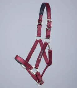 Plain Padded Horse Head Collar -Premier Equine Store Plain Padded Horse Head Collar Burgundy 2