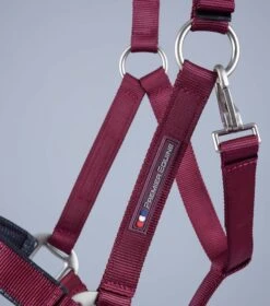 Plain Padded Horse Head Collar -Premier Equine Store Plain Padded Horse Head Collar Burgundy 3