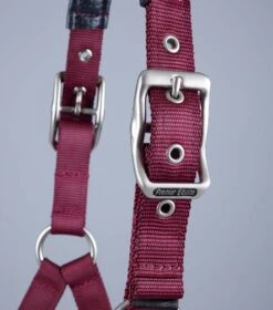 Plain Padded Horse Head Collar -Premier Equine Store Plain Padded Horse Head Collar Burgundy 4