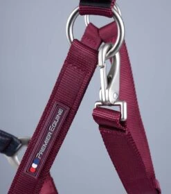 Plain Padded Horse Head Collar -Premier Equine Store Plain Padded Horse Head Collar Burgundy 5