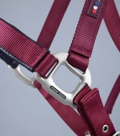 Plain Padded Horse Head Collar -Premier Equine Store Plain Padded Horse Head Collar Burgundy 6