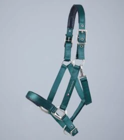 Plain Padded Horse Head Collar -Premier Equine Store Plain Padded Horse Head Collar Green 2