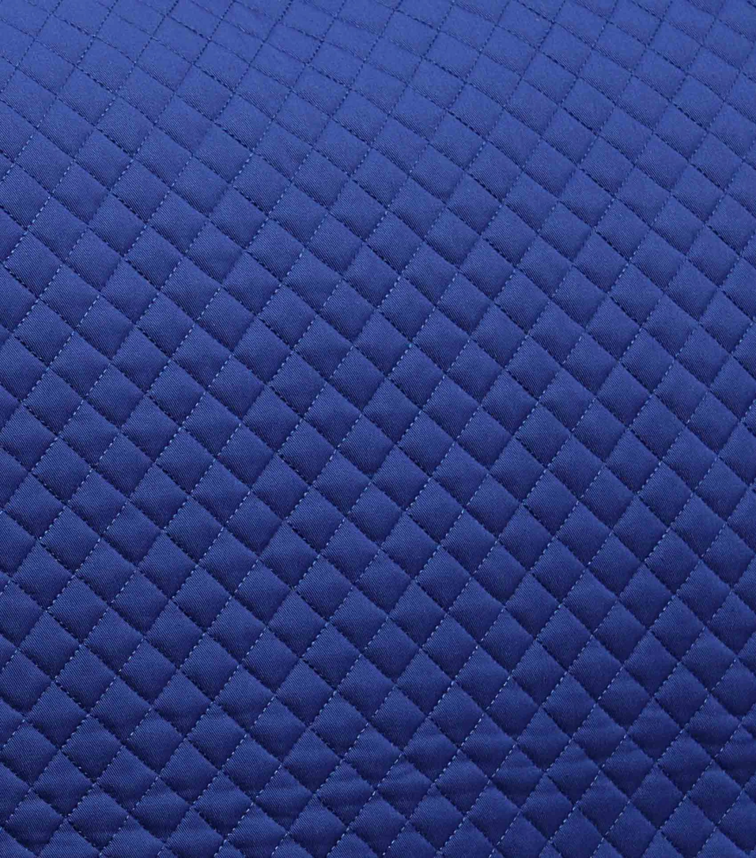 Pony Plain Cotton Dressage Square Pony Plain Cotton Dressage Square -Premier Equine Store Pony Plain Cotton Dressage Square Royal Blue 4