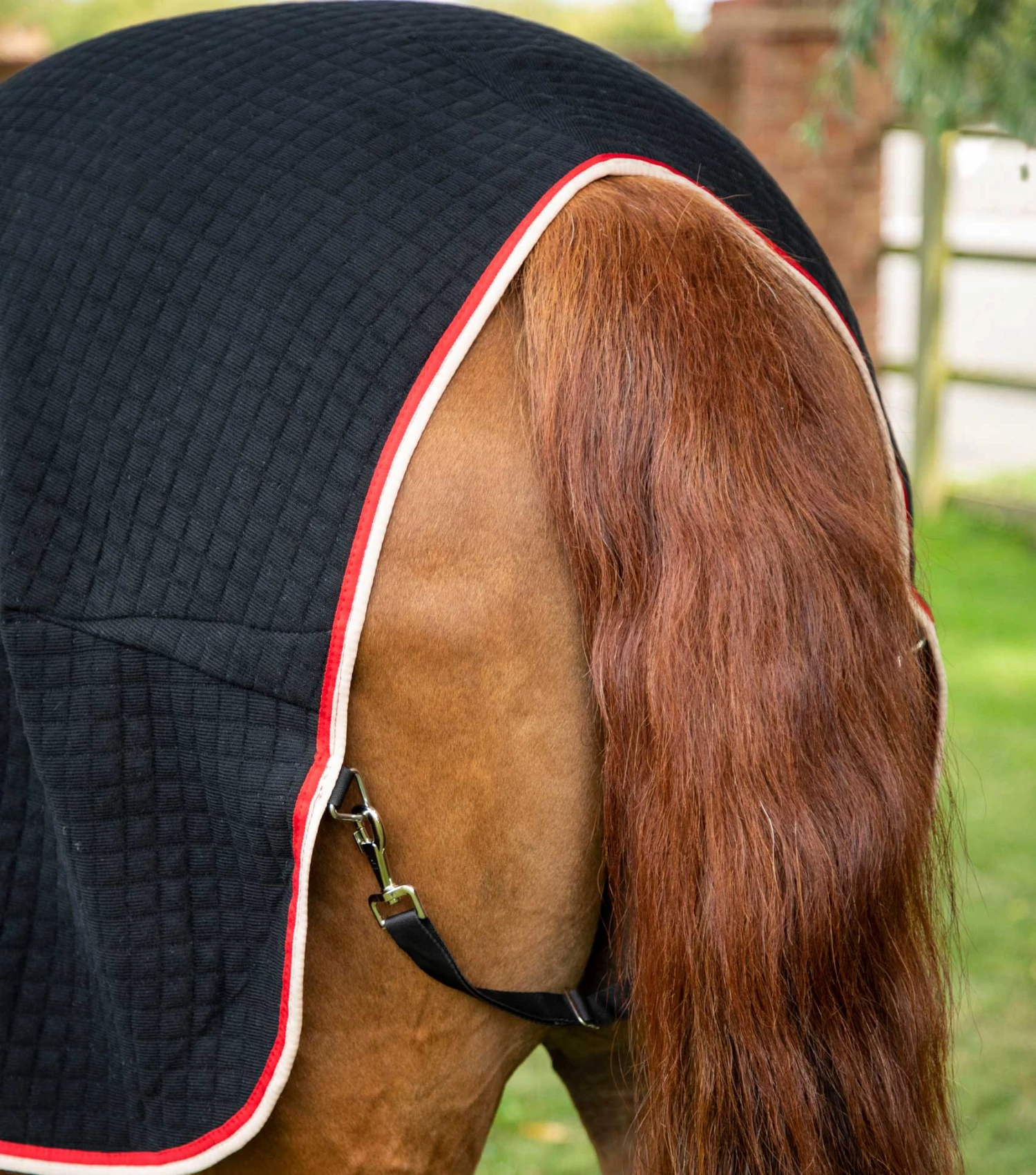 PremTex Horse Cooler Rug PremTex Horse Cooler Rug -Premier Equine Store Premtex cooler black 5