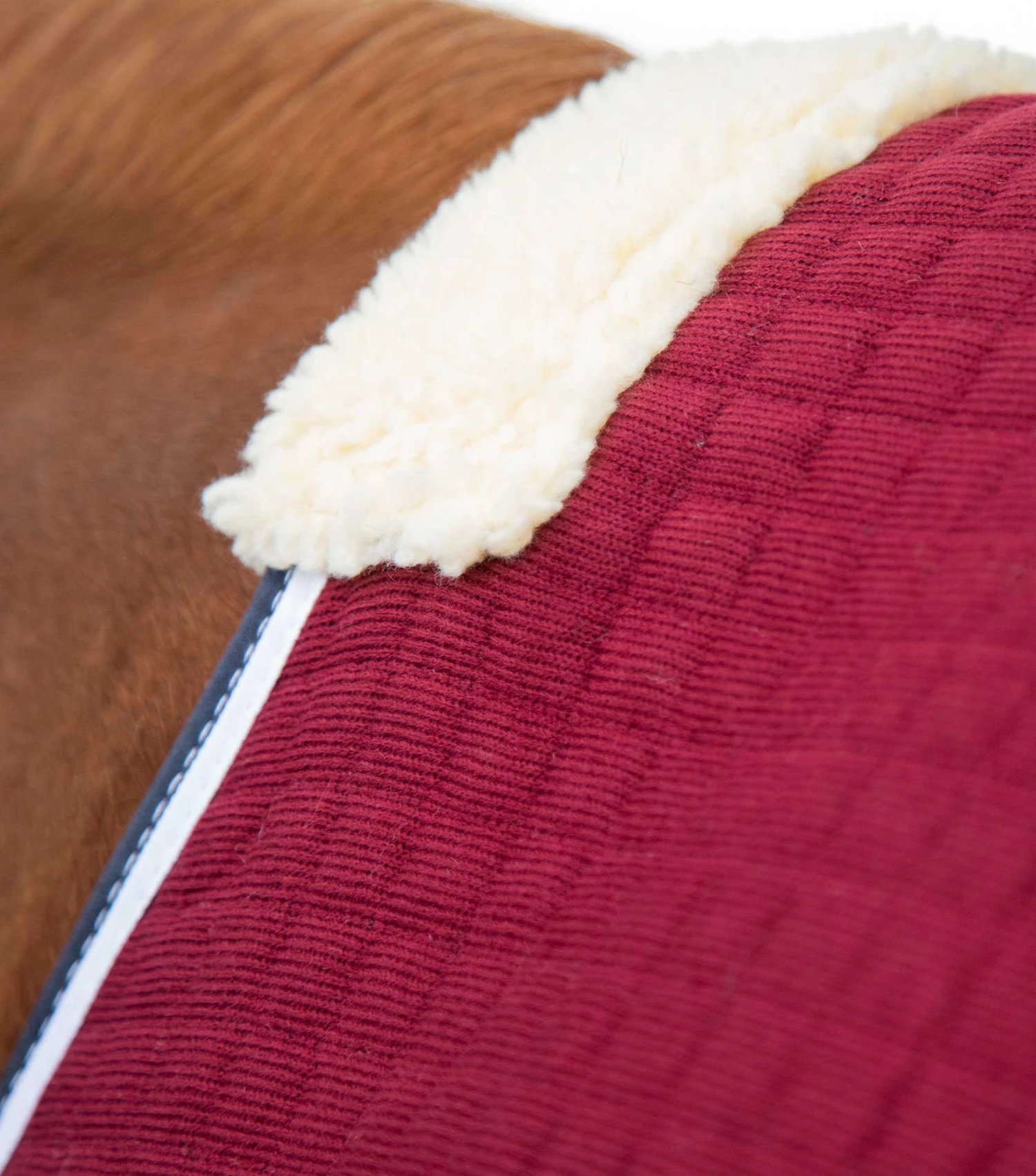 PremTex Horse Cooler Rug PremTex Horse Cooler Rug -Premier Equine Store Premtex cooler burgundy 2