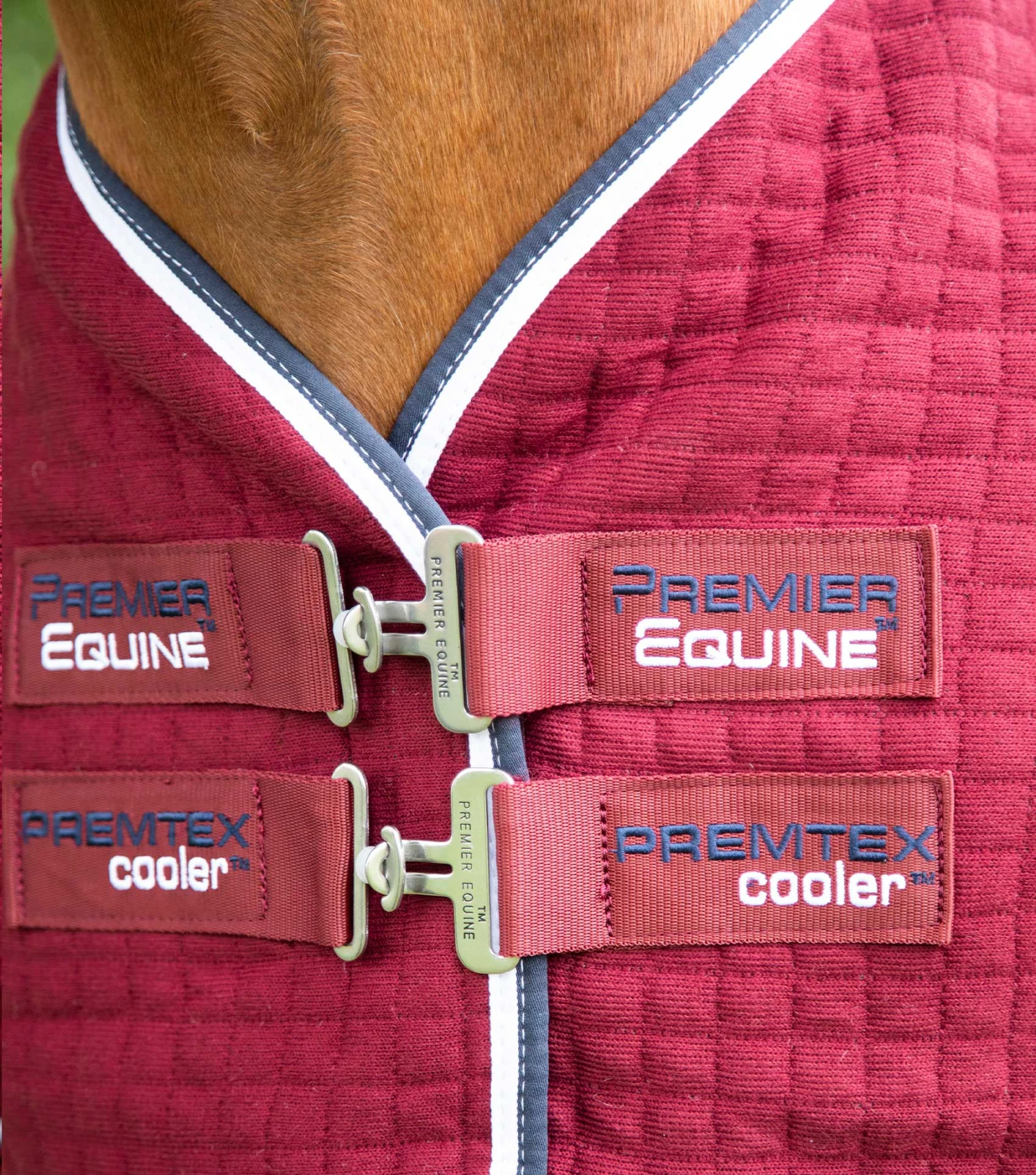 PremTex Horse Cooler Rug PremTex Horse Cooler Rug -Premier Equine Store Premtex cooler burgundy 3
