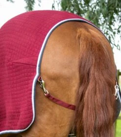 PremTex Horse Cooler Rug 6 PremTex Horse Cooler Rug -Premier Equine Store Premtex cooler burgundy 5