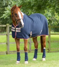 PremTex Horse Cooler Rug 12 PremTex Horse Cooler Rug -Premier Equine Store Premtex cooler navy 1