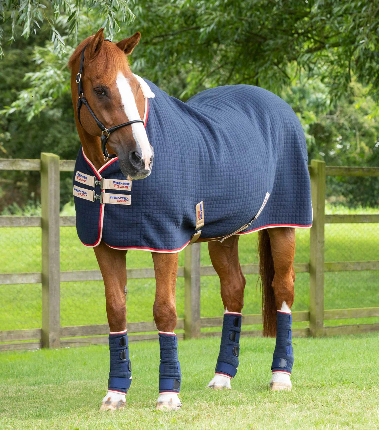 PremTex Horse Cooler Rug PremTex Horse Cooler Rug -Premier Equine Store Premtex cooler navy 1