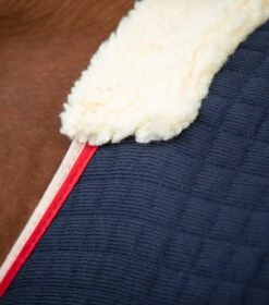 PremTex Horse Cooler Rug 13 PremTex Horse Cooler Rug -Premier Equine Store Premtex cooler navy 2