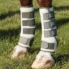 Pro-Tech Bug & Fly Boots 1 Pro-Tech Bug & Fly Boots -Premier Equine Store Pro Tech Bug and Fly Boots 1 9a0b24a6 a9a1 4f99 b1ad 827ea2340af4