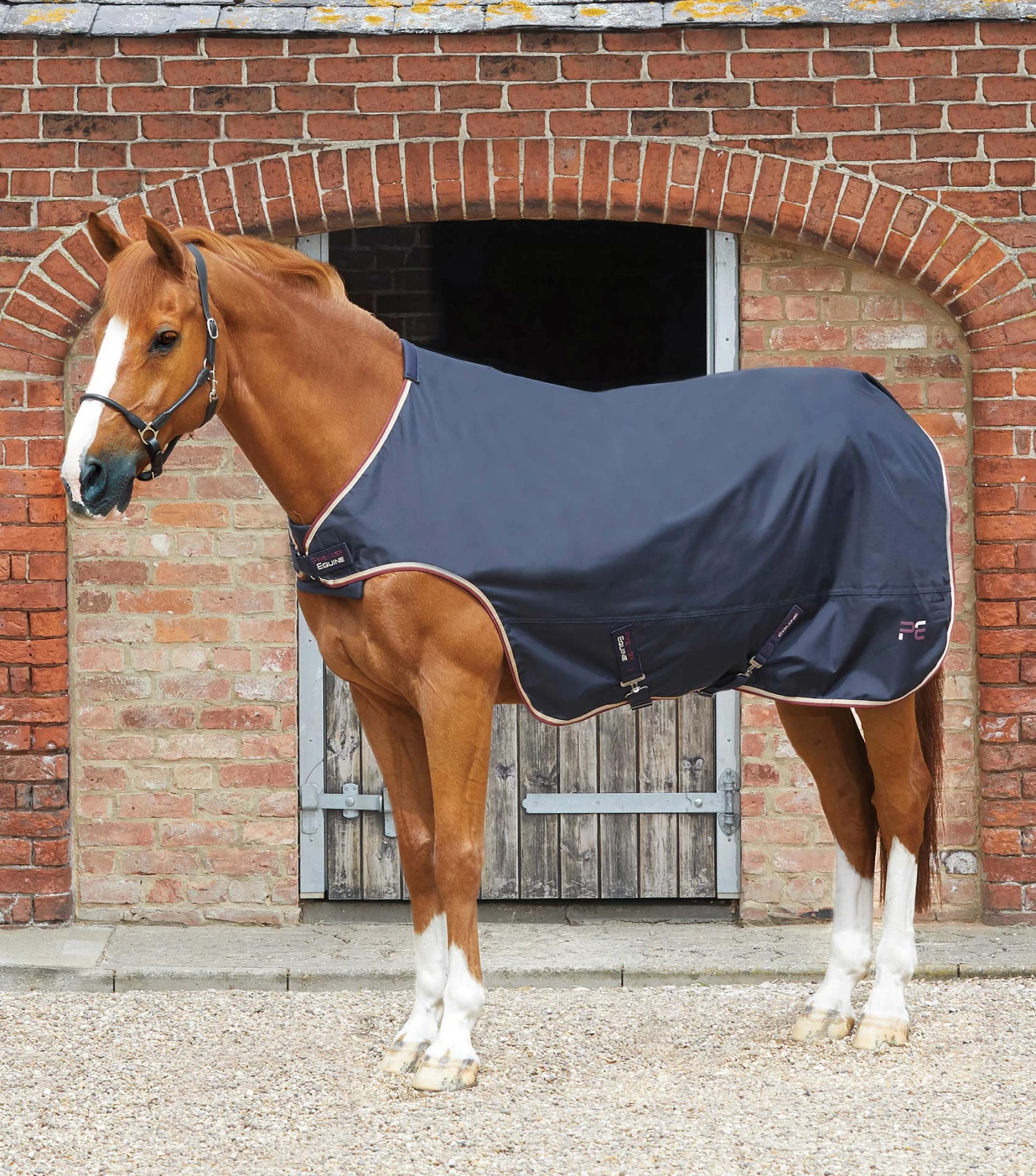 Horse Walker Rug 0g Horse Walker Rug 0g -Premier Equine Store Product image Horse Walker Rug 0g