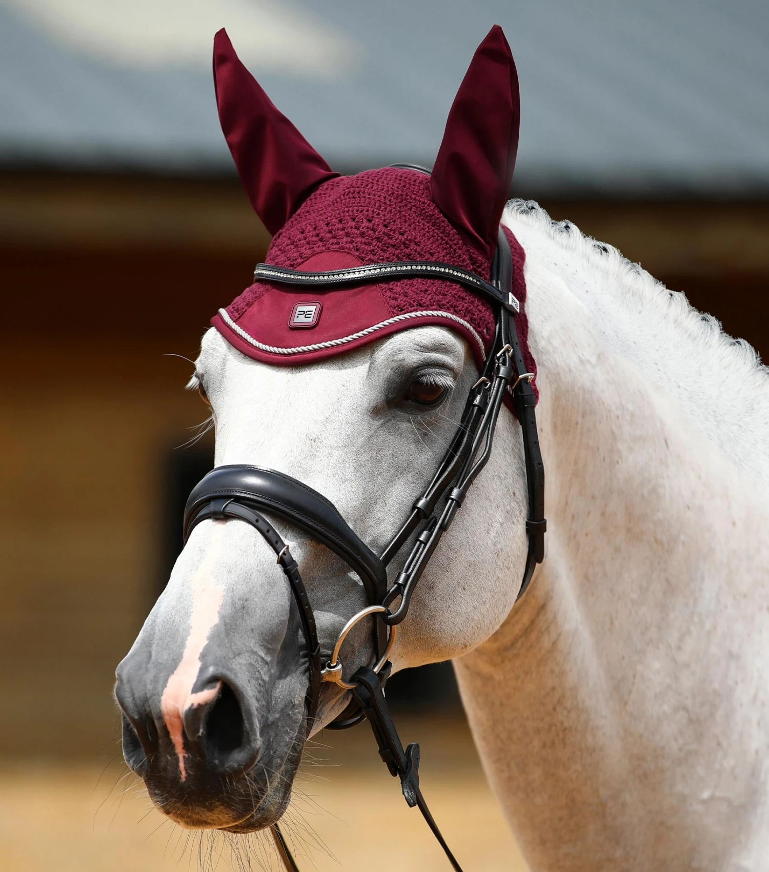 Salto Fly Veil Salto Fly Veil -Premier Equine Store Salto Fly Veil Wine 1