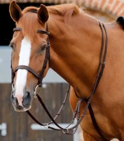 Santadi Adjustable Running Martingale 7 Santadi Adjustable Running Martingale -Premier Equine Store Santadi Adjustable Running Martingale Brown 2