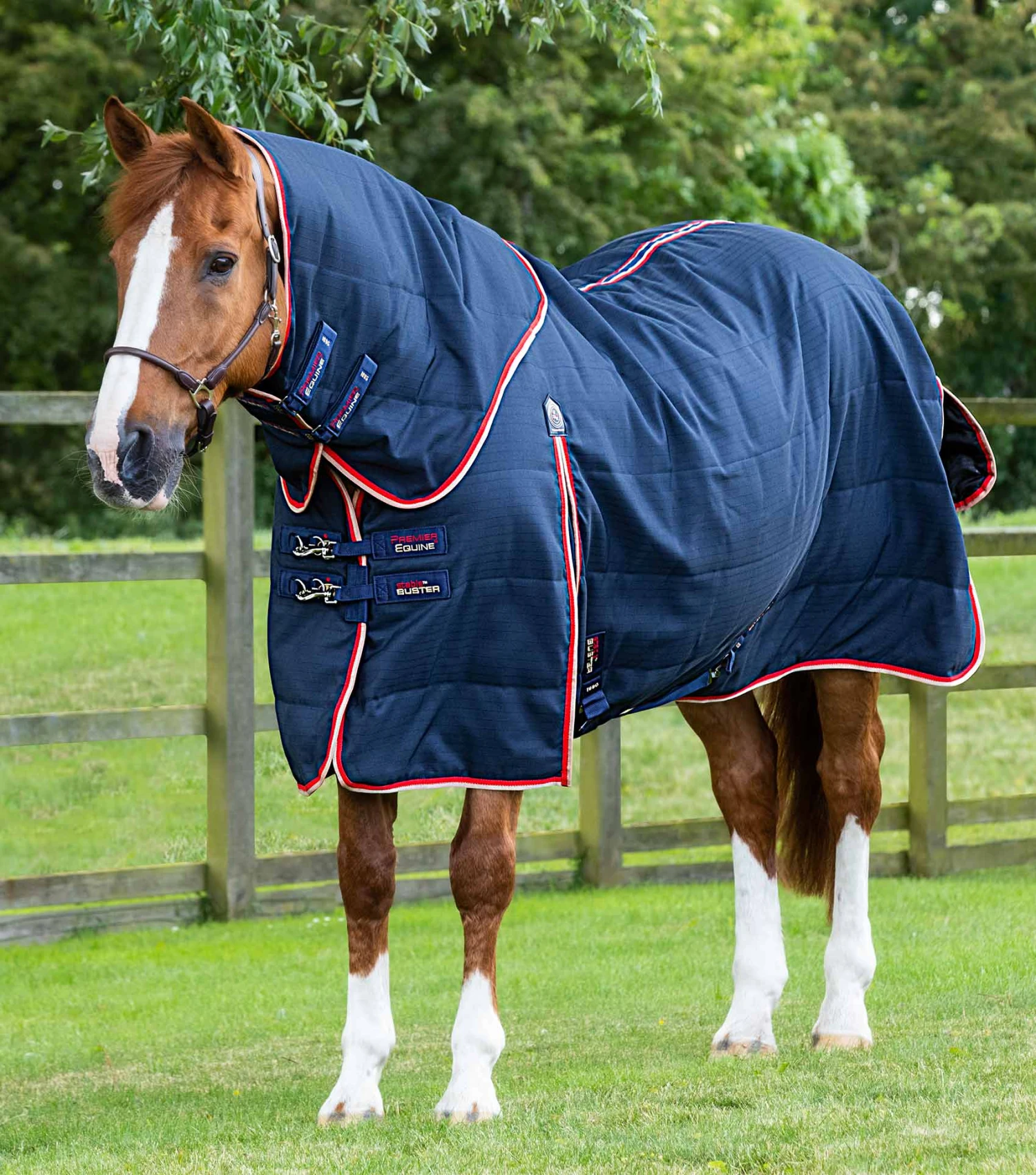 Stable Buster 100g Stable Rug with Neck Cover Stable Buster 100g Stable Rug With Neck Cover -Premier Equine Store Stable Buster 100 Stable Rug Navy 1 32cb0efd db2b 4f34 9c5c b2cf4b63da51