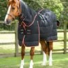 Stable Buster 200g Stable Rug With Neck Cover