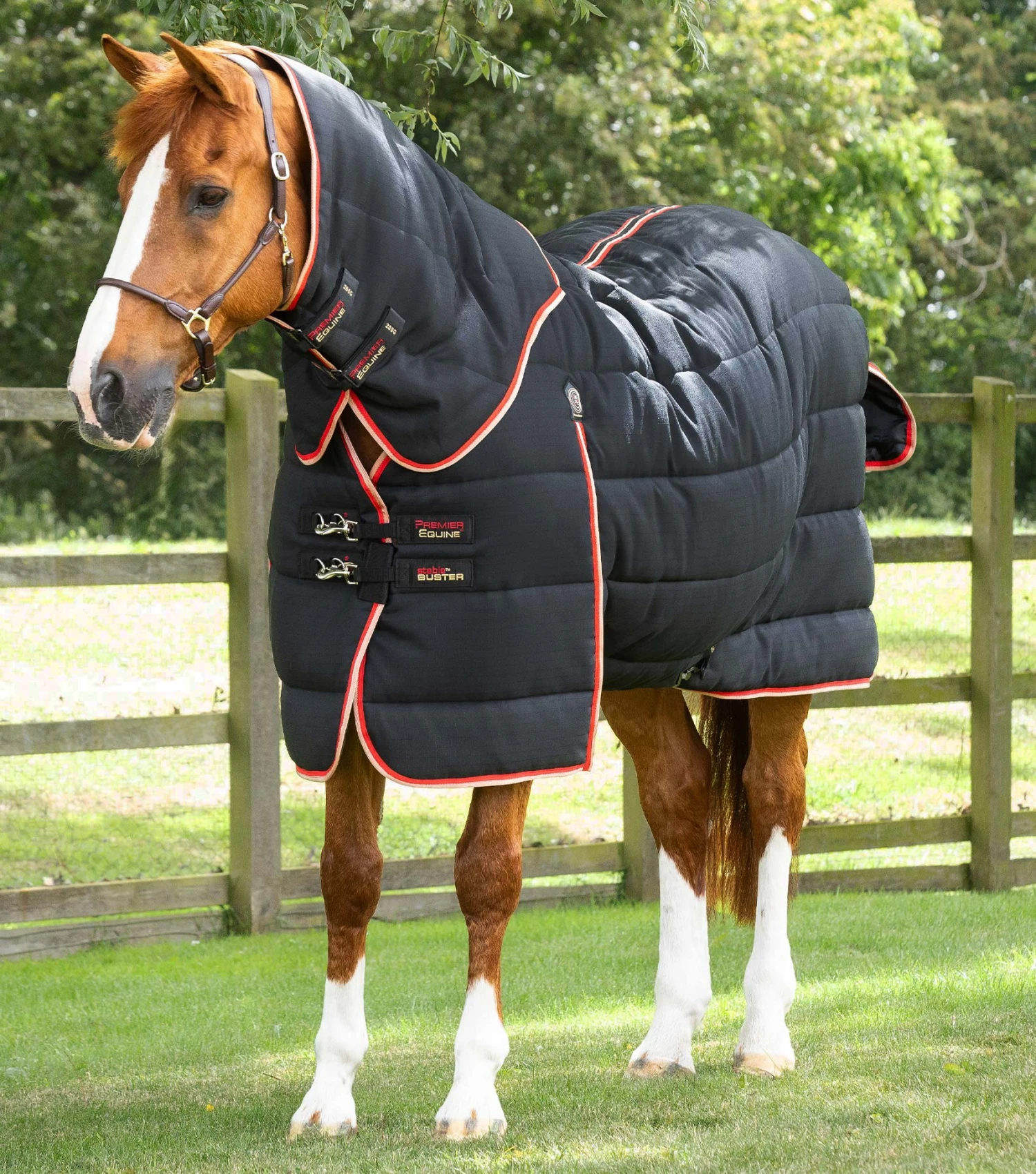 Stable Buster 200g Stable Rug with Neck Cover Stable Buster 200g Stable Rug With Neck Cover -Premier Equine Store Stable Buster 200 Stable Rug Black 1