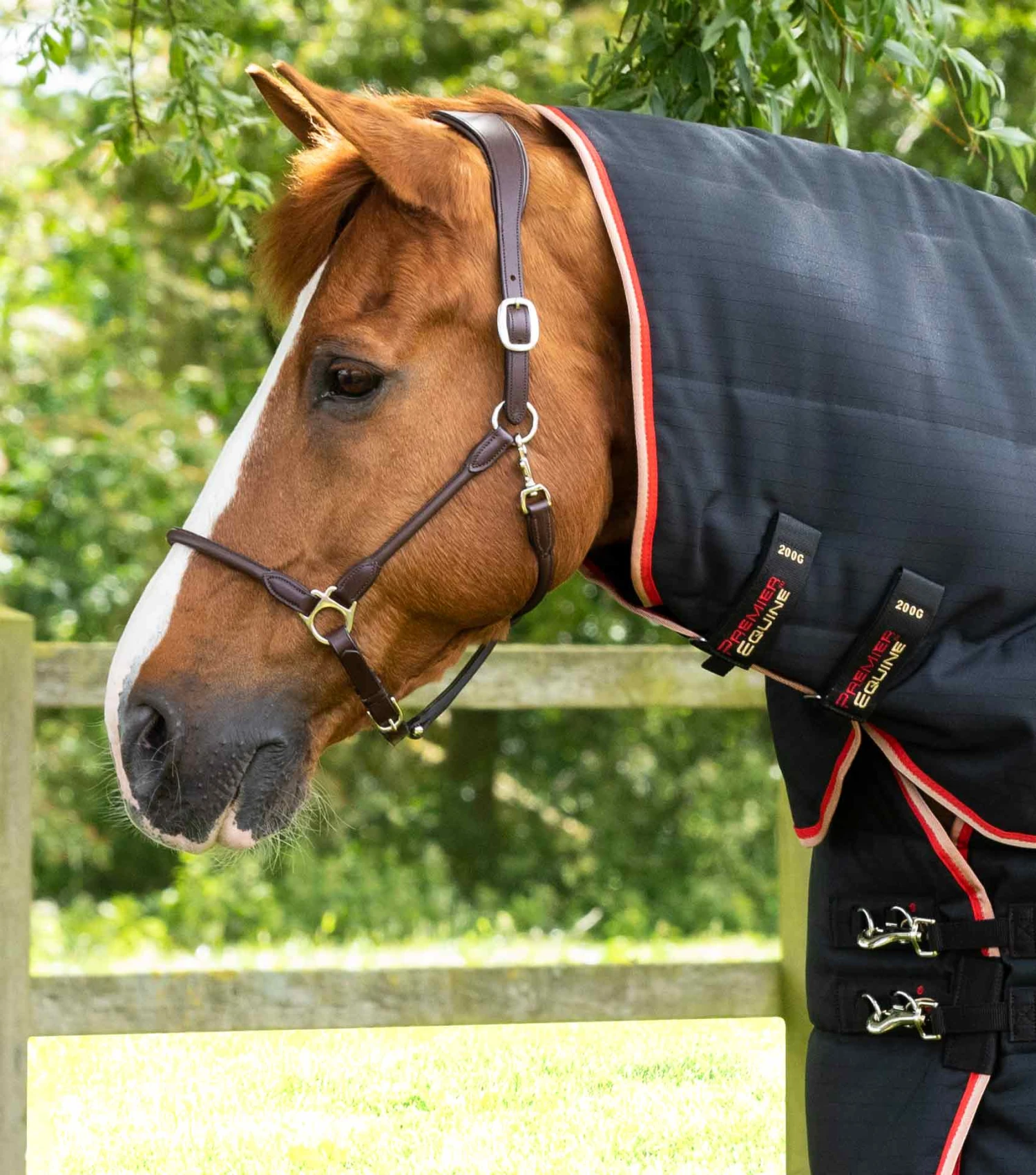 Stable Buster 200g Stable Rug with Neck Cover Stable Buster 200g Stable Rug With Neck Cover -Premier Equine Store Stable Buster 200 Stable Rug Black 2