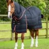 Stable Buster 450g Stable Rug With Neck Cover 1 Stable Buster 450g Stable Rug With Neck Cover -Premier Equine Store Stable Buster 450 Stable Rug Black 1 4a0f70f6 86b7 4861 b52f de912cc1283b