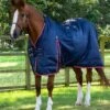 Stable Buster Lite 100g 2 Stable Buster Lite 100g -Premier Equine Store Stable Buster Lite 100 Stable Rug 1 5c008d0f 4ed3 4b35 abaf 5b31793f7877