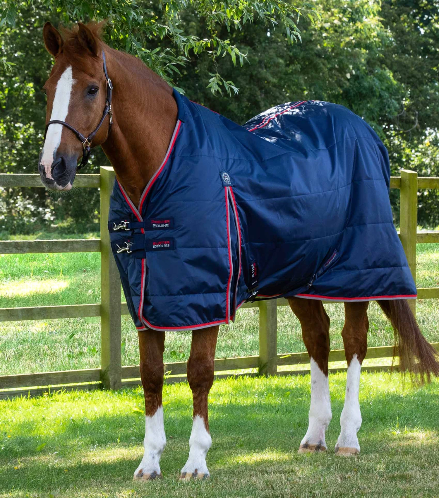 Stable Buster Lite 100g Stable Buster Lite 100g -Premier Equine Store Stable Buster Lite 100 Stable Rug 1 5c008d0f 4ed3 4b35 abaf 5b31793f7877