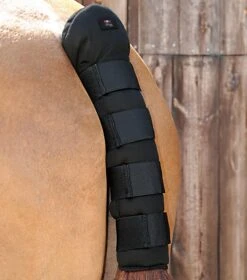 Stay-Up Horse Tail Guard 10 Stay-Up Horse Tail Guard -Premier Equine Store Stay Up Tail Guard Black 1
