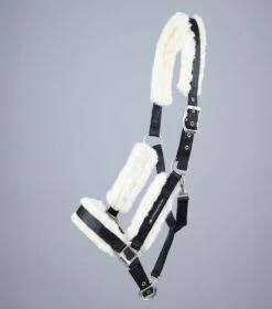 Techno Wool Lined Head Collar -Premier Equine Store Techno Wool Lined Head Collar Black 2