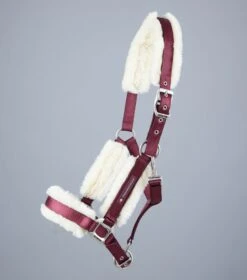 Techno Wool Lined Head Collar -Premier Equine Store Techno Wool Lined Head Collar Burgundy 2