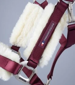 Techno Wool Lined Head Collar -Premier Equine Store Techno Wool Lined Head Collar Burgundy 3
