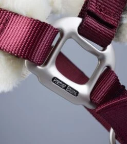 Techno Wool Lined Head Collar -Premier Equine Store Techno Wool Lined Head Collar Burgundy 6