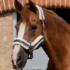 Techno Wool Lined Head Collar -Premier Equine Store Techno Wool Lined Head Collar Navy 1