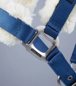 Techno Wool Lined Head Collar -Premier Equine Store Techno Wool Lined Head Collar Navy 6