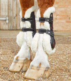Techno Wool Tendon Boots