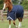 Titan 100g Original Turnout Rug 1 Titan 100g Original Turnout Rug -Premier Equine Store Titan 100 Original Turnout Rug Navy 1