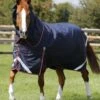 Titan 100g Turnout Rug With Snug-Fit Neck Cover