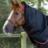 Titan 100g Turnout Rug Neck Covers (100g Fill) 1 Titan 100g Turnout Rug Neck Covers (100g Fill) -Premier Equine Store Titan 100 Turnout Rug Neck Cover Black 2