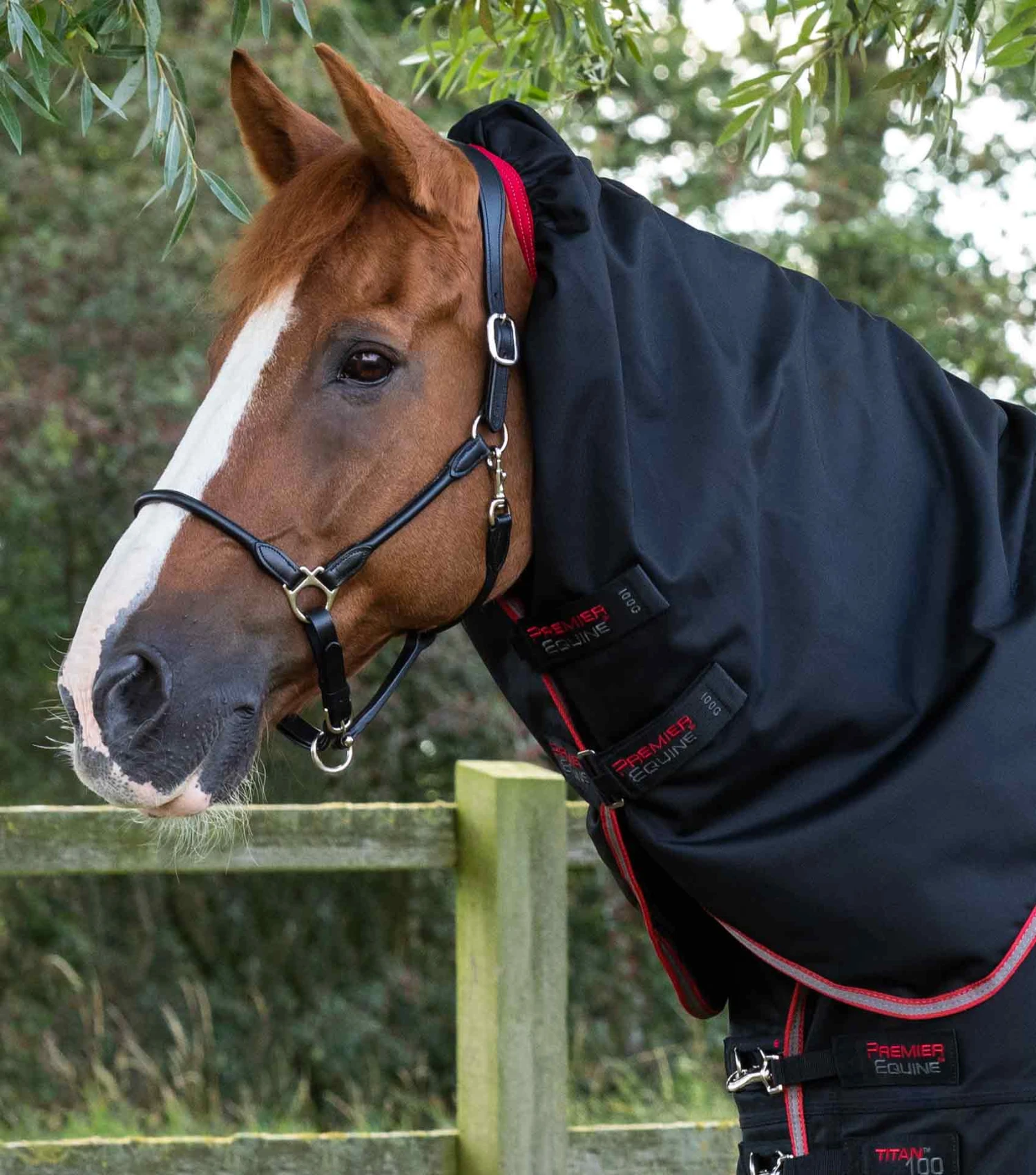 Titan 100g Turnout Rug Neck Covers (100g Fill) Titan 100g Turnout Rug Neck Covers (100g Fill) -Premier Equine Store Titan 100 Turnout Rug Neck Cover Black 2