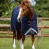 Titan 200g Original Turnout Rug -Premier Equine Store Titan 200 Original Turnout Rug Navy 1