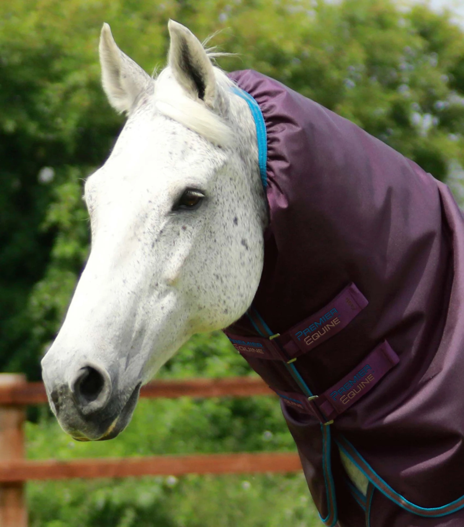 Titan 200g Turnout Rug Neck Cover (200g Fill) Titan 200g Turnout Rug Neck Cover (200g Fill) -Premier Equine Store Titan 200 Turnout Rug Purple 2 e06a9383 0958 4c6a a6df 3b667924b48f