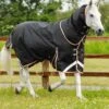 Titan 300g Turnout Rug With Snug-Fit Neck Cover 2 Titan 300g Turnout Rug With Snug-Fit Neck Cover -Premier Equine Store Titan 300 Turnout Rug Black 1