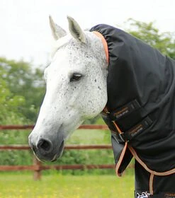 Titan 300g Turnout Rug With Snug-Fit Neck Cover -Premier Equine Store Titan 300 Turnout Rug Black 3