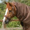 Titan 300g Turnout Rug Neck Cover (200g Fill) 2 Titan 300g Turnout Rug Neck Cover (200g Fill) -Premier Equine Store Titan 300 Turnout Rug Neck cover Brown 3