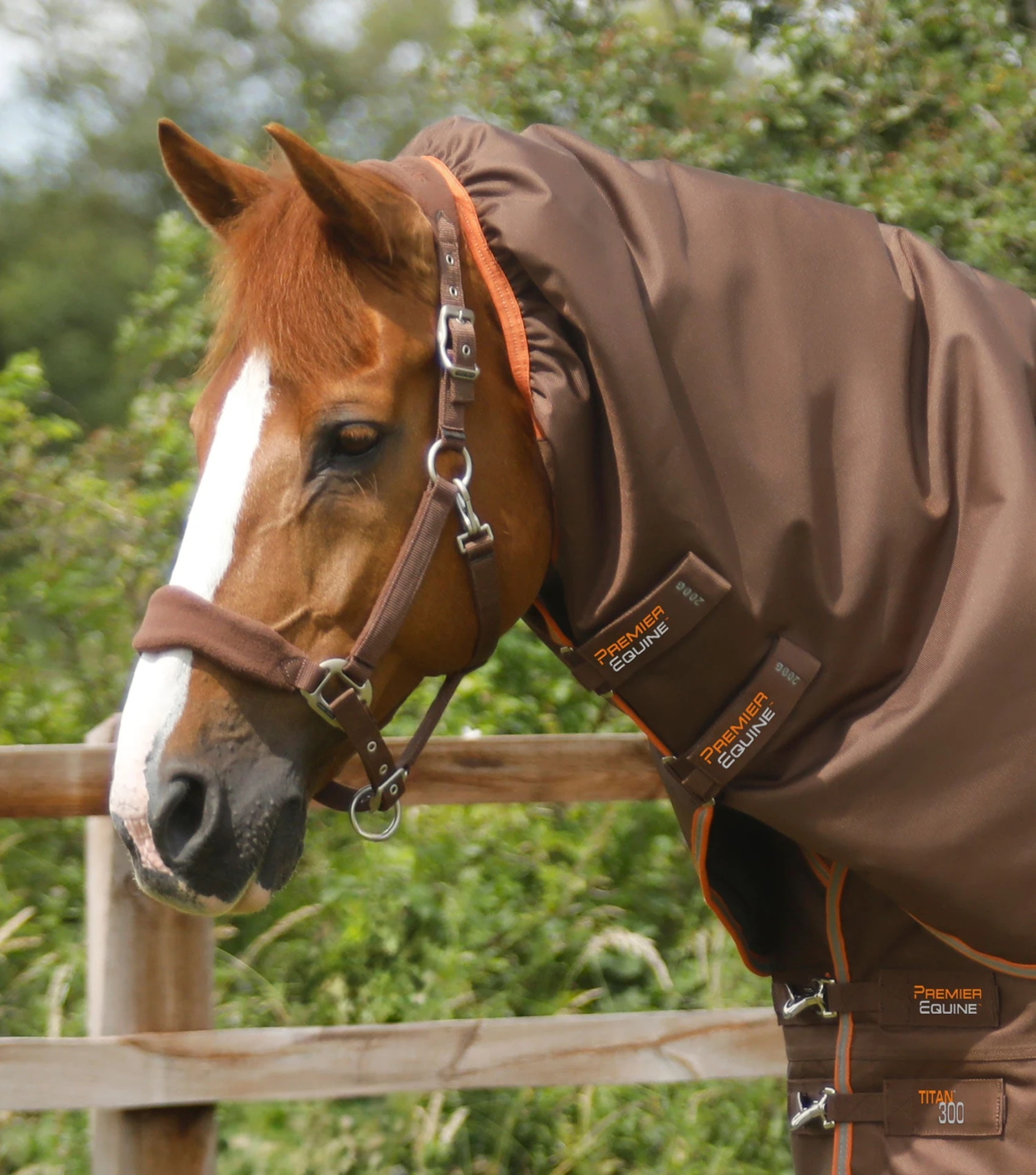 Titan 300g Turnout Rug Neck Cover (200g Fill) Titan 300g Turnout Rug Neck Cover (200g Fill) -Premier Equine Store Titan 300 Turnout Rug Neck cover Brown 3